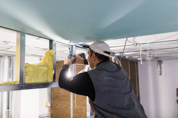 Best Commercial Insulation in Seco Mines, TX