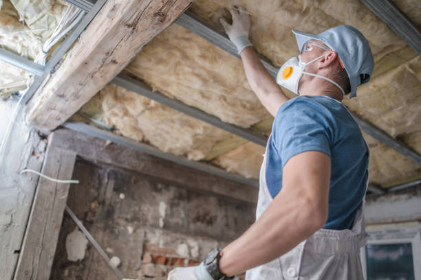 Best DIY Insulation Kits and Guidance in Seco Mines, TX