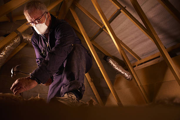Best Spray Foam Insulation in Seco Mines, TX