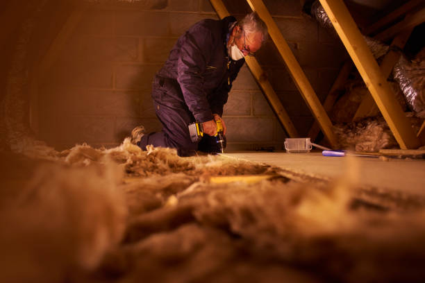 Best Residential Insulation in Seco Mines, TX