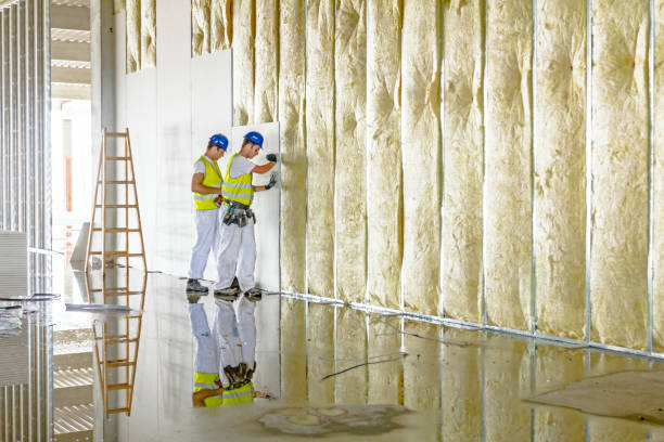 Best Energy Efficiency Insulation in Seco Mines, TX